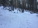 photo thumbnail #1