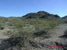 photo thumbnail #1