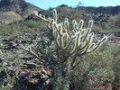 photo thumbnail #4