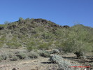 photo thumbnail #5