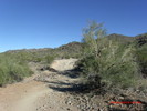 photo thumbnail #7