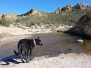 photo thumbnail #4