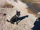 photo thumbnail #5