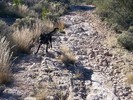 photo thumbnail #6