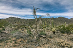 photo thumbnail #15