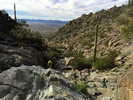 photo thumbnail #12