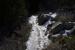 photo thumbnail #1