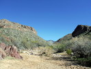 photo thumbnail #3