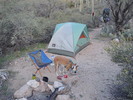 photo thumbnail #13