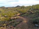 photo thumbnail #3