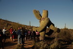 photo thumbnail #6