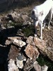 photo thumbnail #9