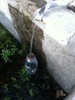 photo thumbnail #15