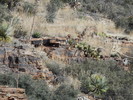 photo thumbnail #4