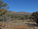 photo thumbnail #6