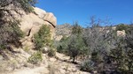 photo thumbnail #9
