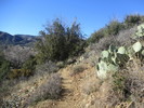 photo thumbnail #4