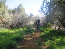 photo thumbnail #5