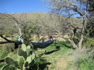 photo thumbnail #7