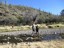 photo thumbnail #9