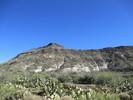 photo thumbnail #10