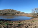 photo thumbnail #9