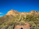 photo thumbnail #4