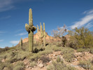 photo thumbnail #13