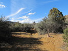 photo thumbnail #10