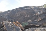 photo thumbnail #1
