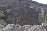 photo thumbnail #10