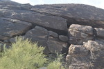 photo thumbnail #12