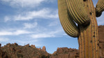 photo thumbnail #12