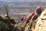 photo thumbnail #11