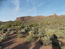 photo thumbnail #6