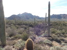 photo thumbnail #11