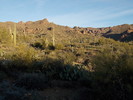 photo thumbnail #9