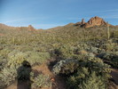 photo thumbnail #15