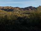 photo thumbnail #8