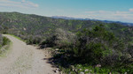 photo thumbnail #11