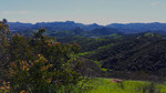 photo thumbnail #12