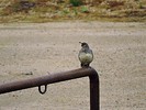photo thumbnail #14
