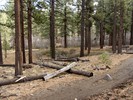 photo thumbnail #14