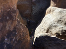 photo thumbnail #10