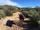 photo thumbnail #2