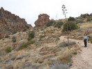 photo thumbnail #2