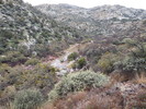 photo thumbnail #2