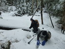 photo thumbnail #6