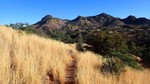 photo thumbnail #4