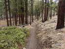 photo thumbnail #12